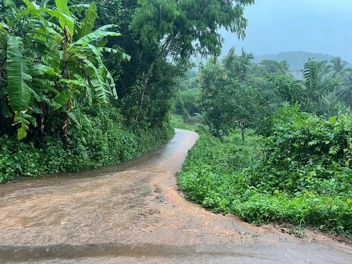 സംസ്ഥാനത്ത് അടുത്ത അഞ്ച് ദിവസം മഴ തുടരും, നാളെ മഴ ശക്തമാകും