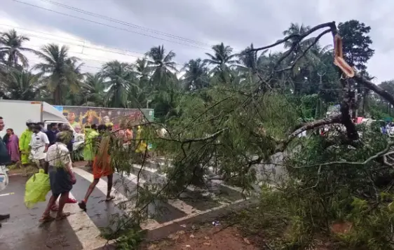 Kerala Weather Update 16/06/26  : ഒറ്റപ്പെട്ട മഴയും കാറ്റും, കോഴിക്കോട്ട് കാറ്റിൽ മരം വീണ് സ്കൂട്ടർ യാത്രകൾ മരിച്ചു