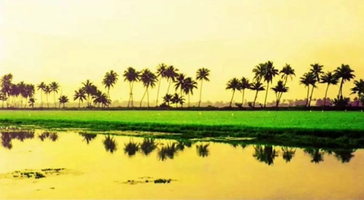 തിരുവാതിര ഞാറ്റുവേല ആരംഭിച്ചു; പക്ഷേ മഴ എവിടെ? 
