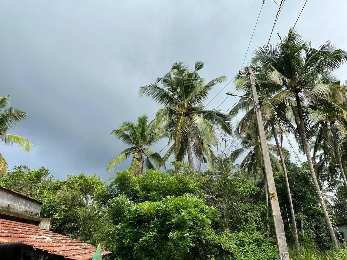 ബംഗാൾ ഉൾക്കടലിൽ ന്യൂനമർദ സാധ്യത, സംസ്ഥാനത്ത് ജൂലൈ 5 വരെ മഴ തുടരും, ഇടിമിന്നൽ ജാഗ്രത