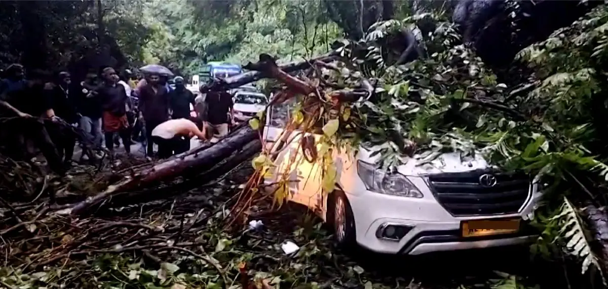 താമരശ്ശേരി ചുരത്തിൽ കാറിന് മുകളിലേക്ക് മരം ഒടിഞ്ഞുവീണു; ഗതാഗതം പൂർണ്ണമായും തടസ്സപ്പെട്ടു