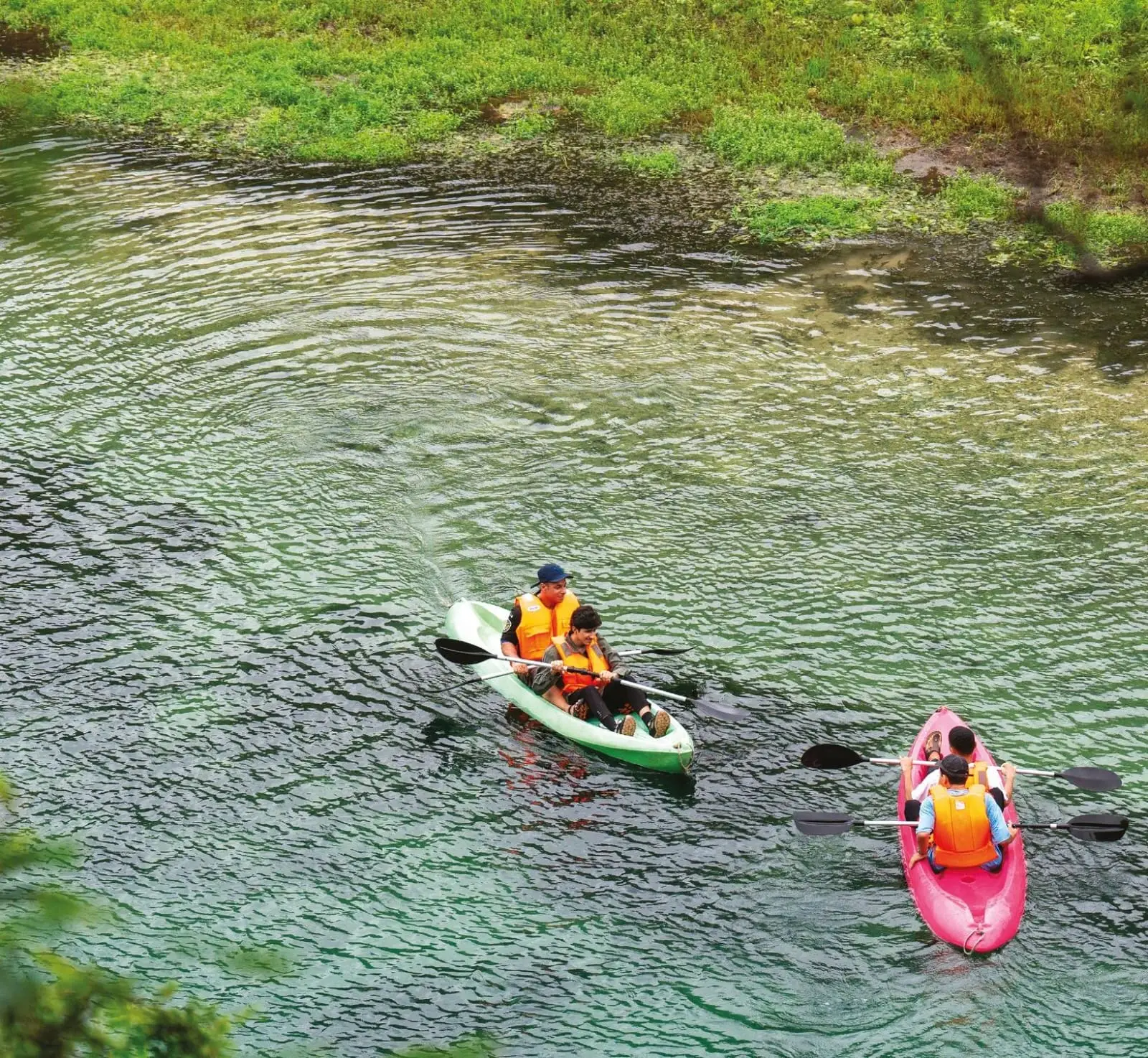 The Same Monsoon That Brings Rain to Kerala Also Transforms Salalah in Oman
