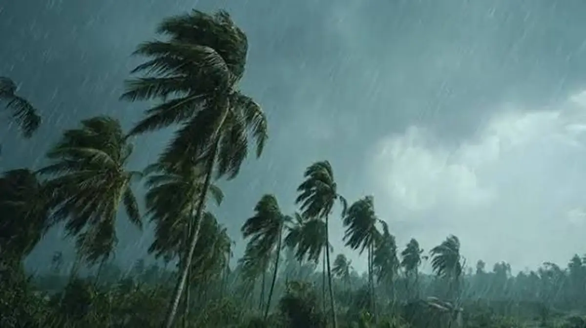 കേരളത്തിൽ ഇന്നും നാളെയും ശക്തമായ കാറ്റിന് സാധ്യത; പൊതുജനങ്ങൾ അതീവ ജാഗ്രത പാലിക്കണം