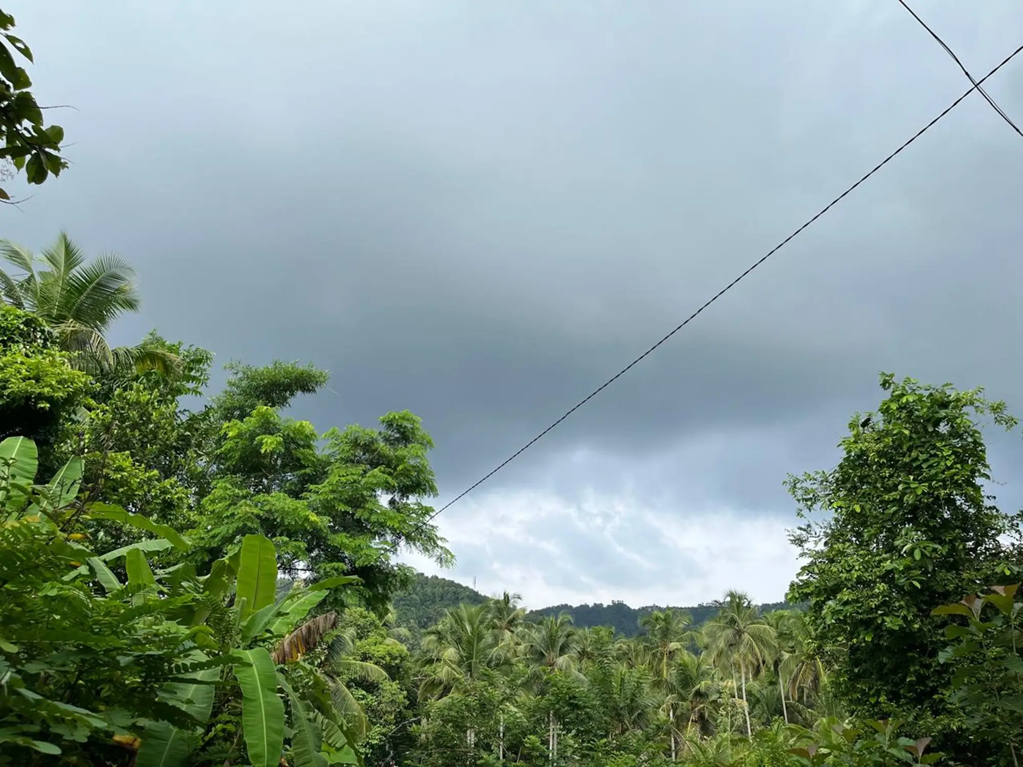 വടക്കൻ ജില്ലകളിൽ ശക്തമായ മഴ തുടരും ; കേരളത്തിൽ വ്യാപക മഴ, തൃശൂരും മലപ്പുറത്തും മഞ്ഞ അലർട്ട്