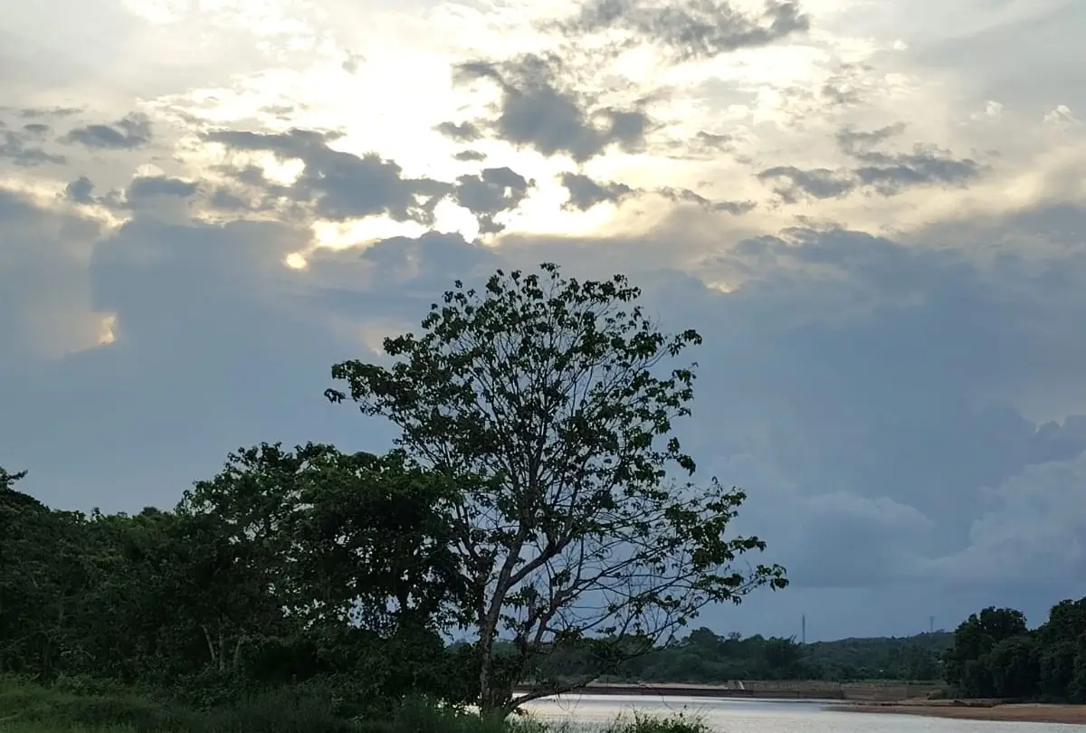 Kerala Weather 09/08/26 : ഒറ്റപ്പെട്ട മഴ തുടരും, നദികളിൽ മഞ്ഞ അലർട്ട്
