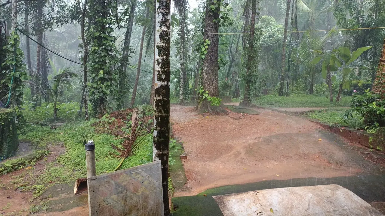 Weather Kerala 24/07/26 : വടക്കൻ കേരളത്തിൽ മഴ തുടരുന്നു