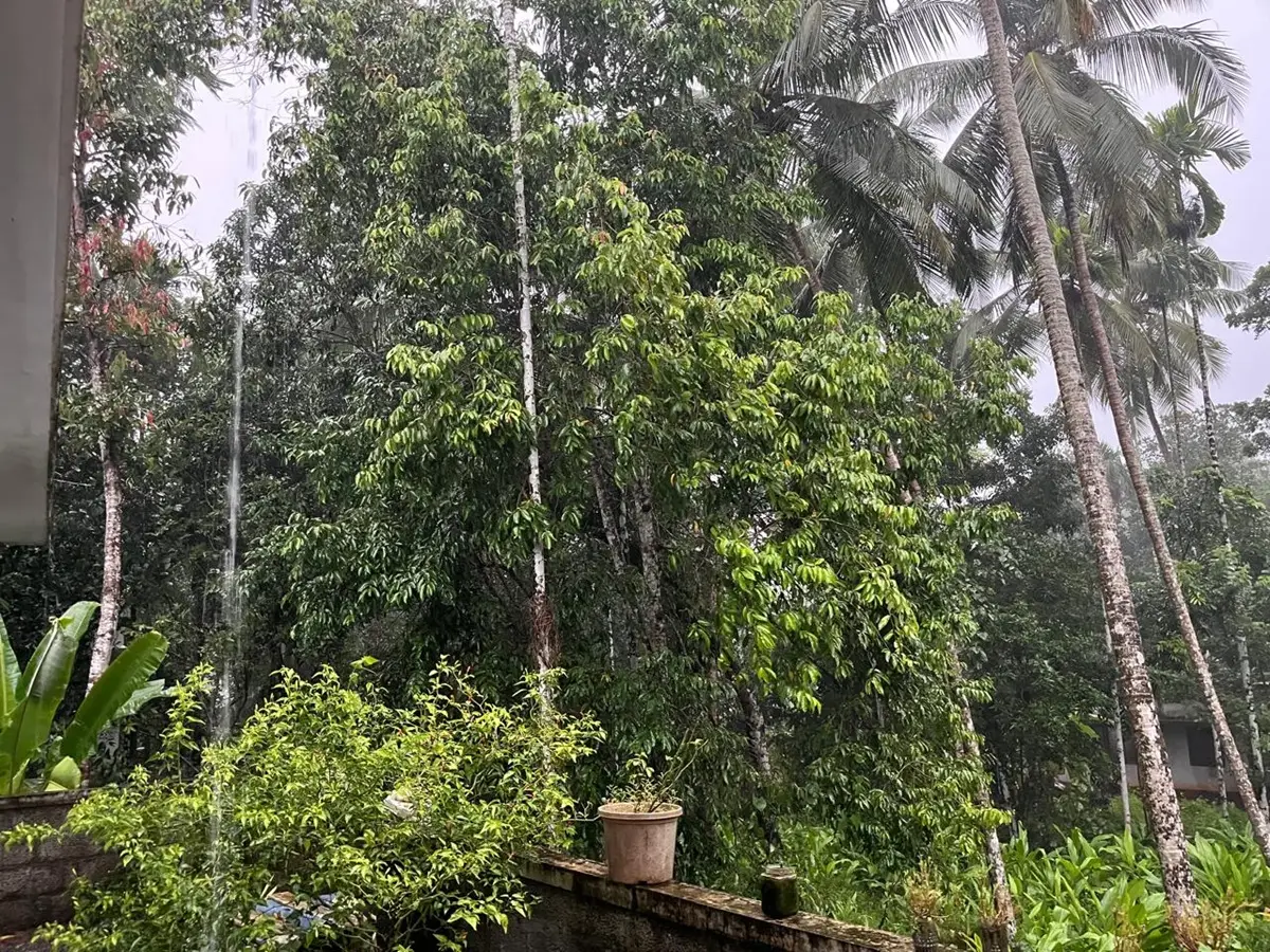 കേരളത്തിൽ കനത്ത മഴ തുടരും; 9 ജില്ലകളിൽ റെഡ് അലർട്ട്, അതീവ ജാഗ്രത നിർദേശം