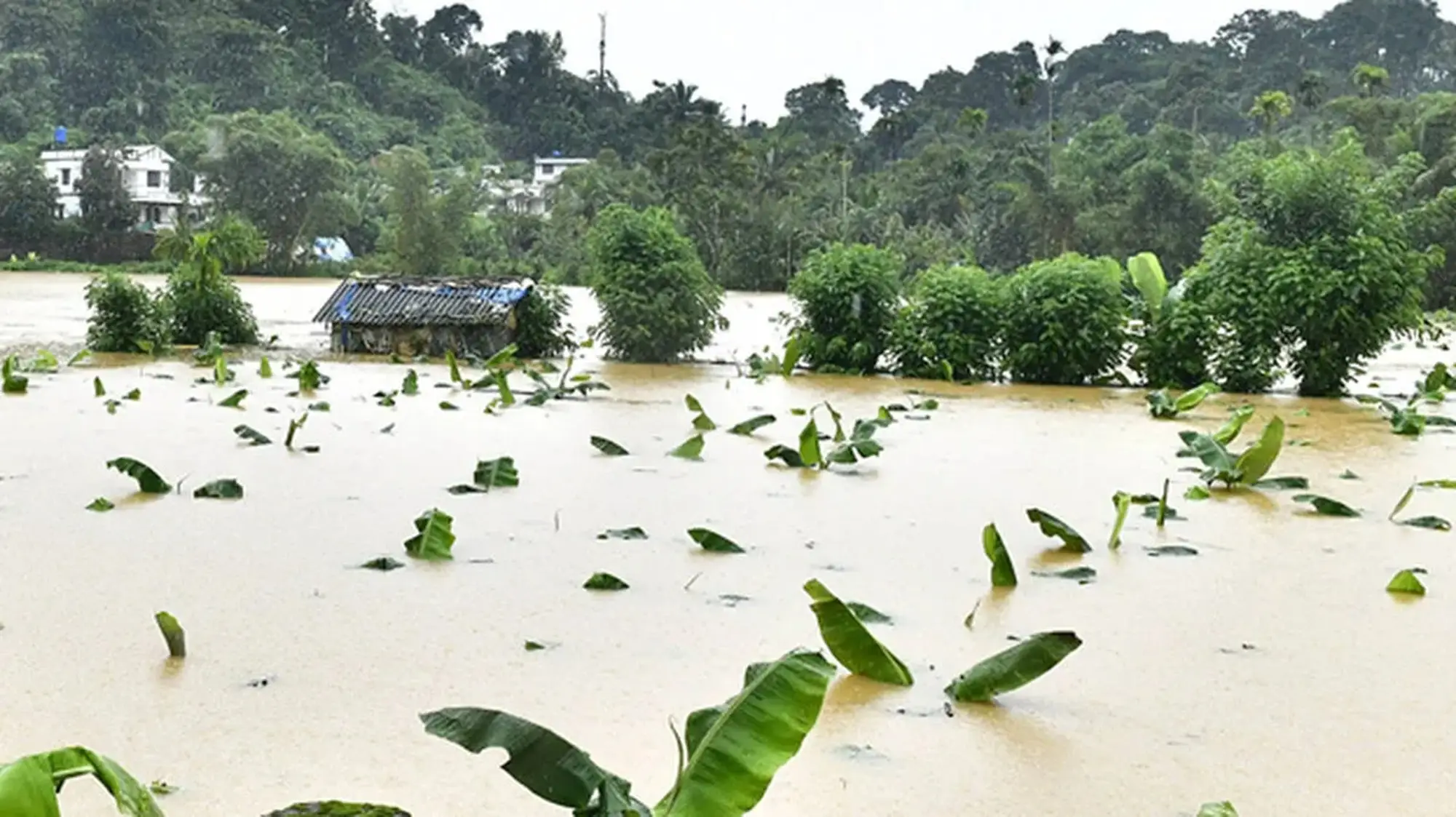 Live Rain Update 04/08/26 : ശക്തമായ മഴ തുടരും,  മുഖ്യമന്ത്രി പത്തനംതിട്ടയിൽ