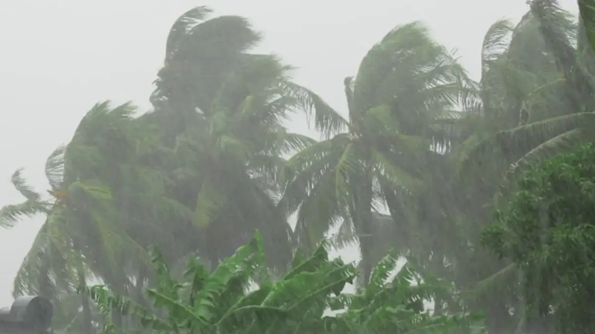 കേരളത്തിൽ ഇന്നും നാളെയും ശക്തമായ കാറ്റിന് സാധ്യത; ജാഗ്രത നിർദേശവുമായി കാലാവസ്ഥ വകുപ്പ്