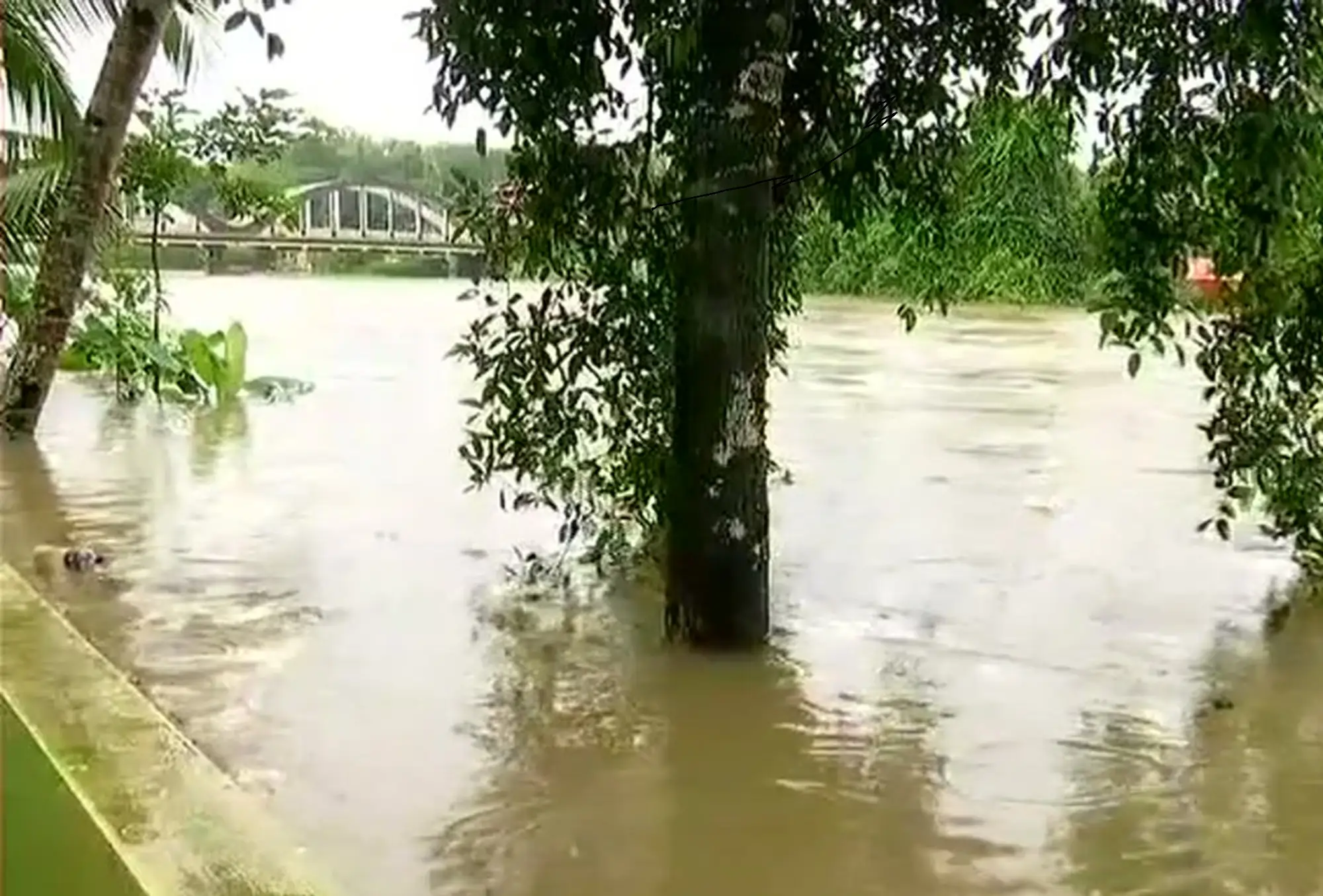 ജലനിരപ്പ് ഉയർന്നു; അച്ചൻകോവിൽ നദിയിൽ മഞ്ഞ അലർട്ട്, തീരദേശവാസികൾക്ക് ജാഗ്രത നിർദേശം