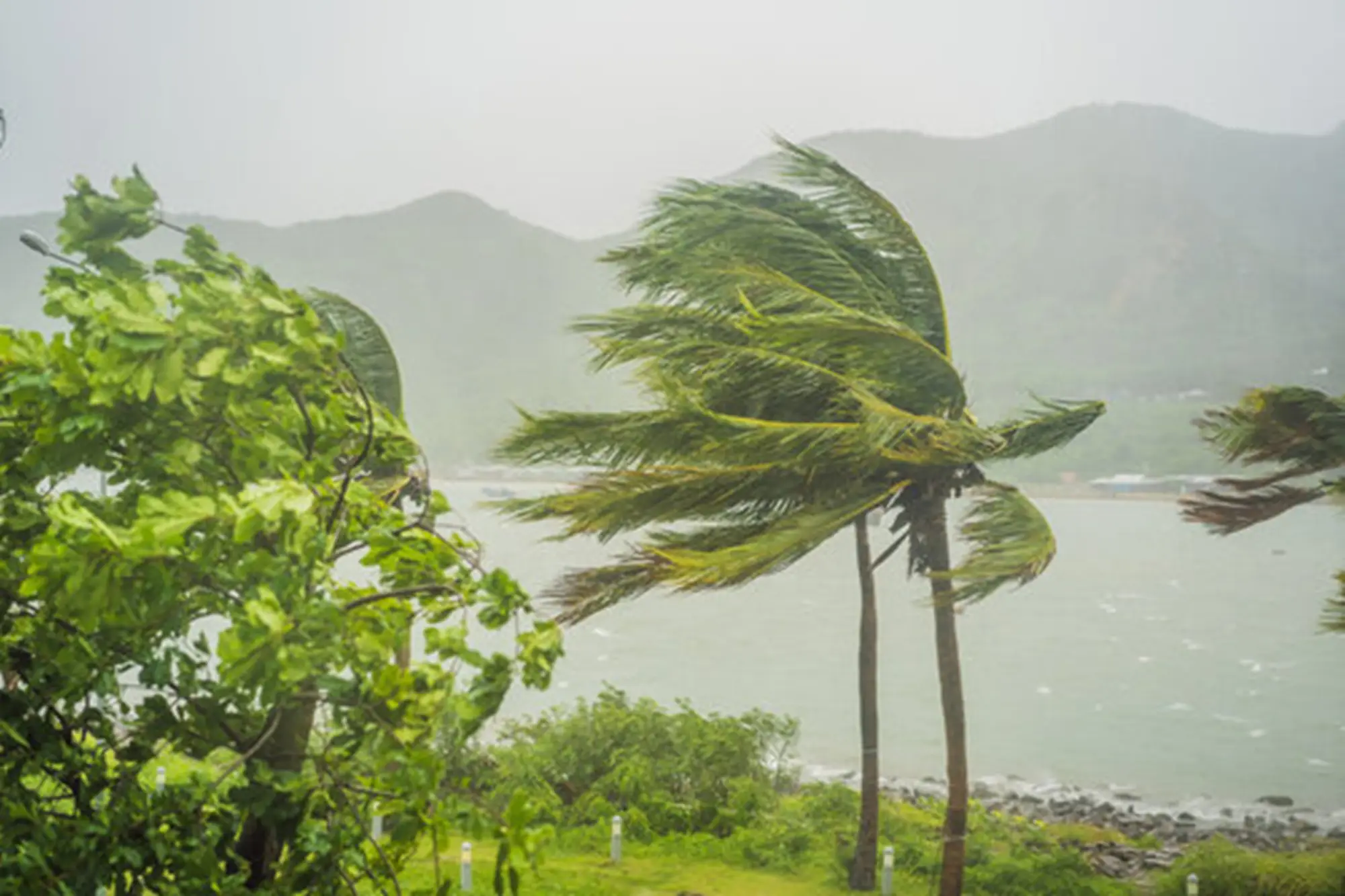 കേരളത്തിൽ ഇന്നും നാളെയും ശക്തമായ കാറ്റിന് സാധ്യത; ജാഗ്രത നിർദ്ദേശം
