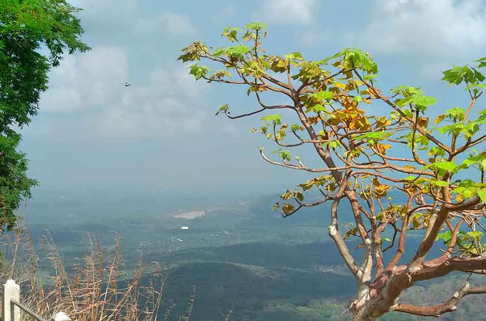 ഉഷ്ണതരംഗ മുന്നറിയിപ്പു