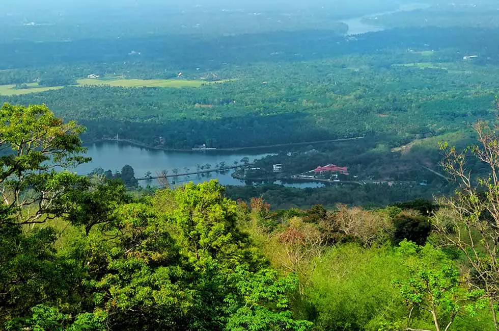 പരിസ്ഥിതി