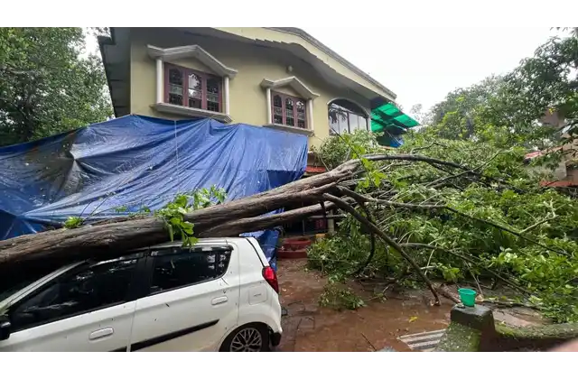 ഇന്നും നാളെയും